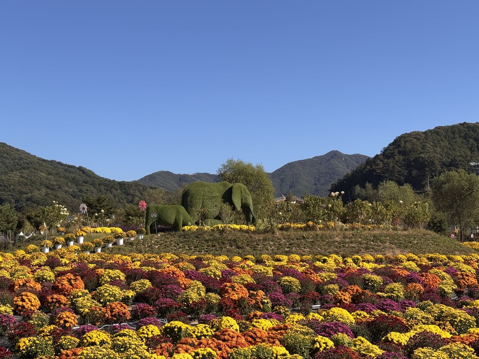 2026 포천 한탄강 가을 가든페스타(2026. 10. 10.(토))